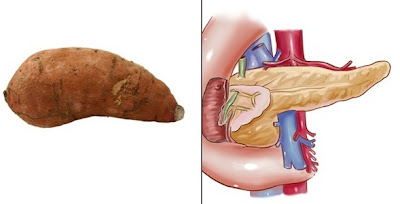 ΤΑ ΓΙΑΤΡΙΚΑ ΤΗΣ ΦΥΣΗΣ Potato-Pancreas