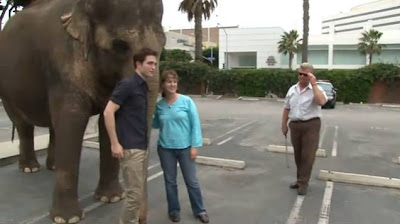 Imagenes/Videos Promocion de "Water For Elephants" - Página 3 Diapositiva12