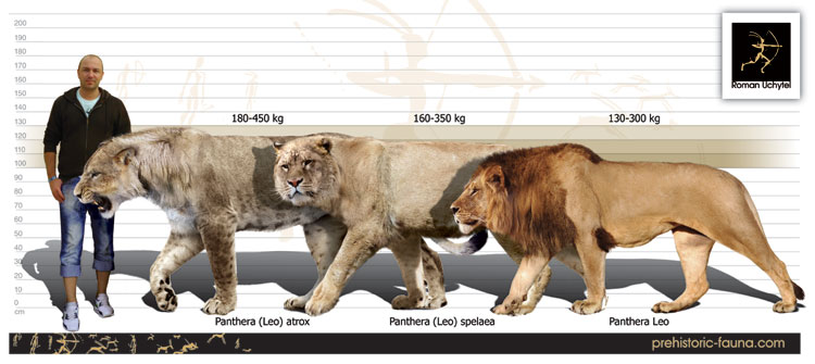 Smilodon vs Ligre Phanteraleoatrox