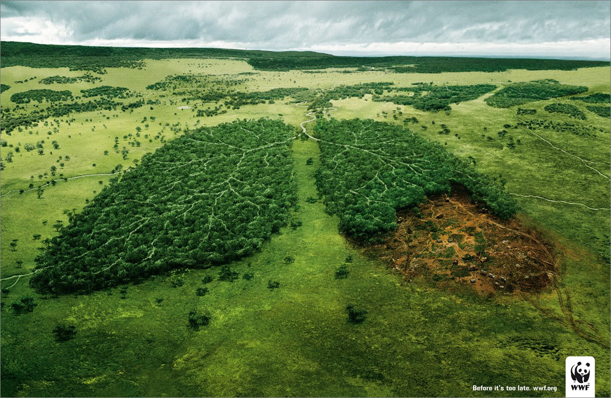 Usemos la razon y tengamos conciencia Wwf_lungs