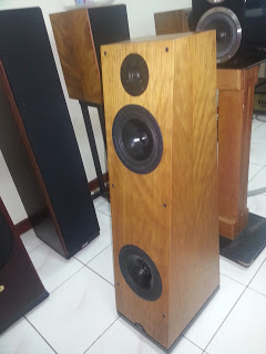 Naim Ariva Speaker (SOLD) 20130404_171214