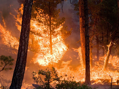 Global Weather Modification Assault  1_1280px-whitewater_baldy_night_fire_2012-06-06-1024x768