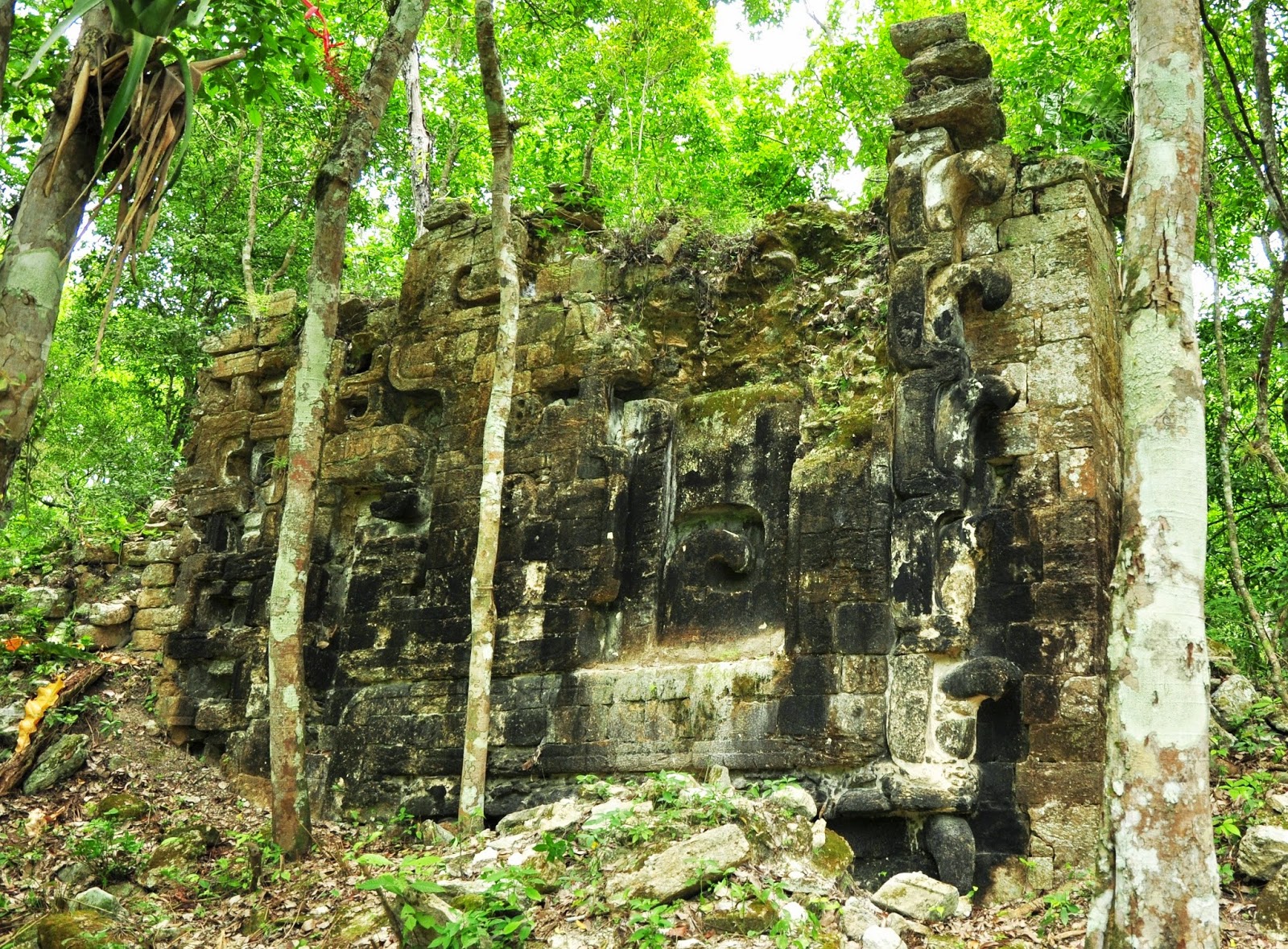 Two ancient Maya cities discovered in the jungle of southeastern Mexico Mexico_07