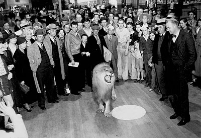 La historia de los 5 leones de la Metro Goldwyn Mayer Jackie