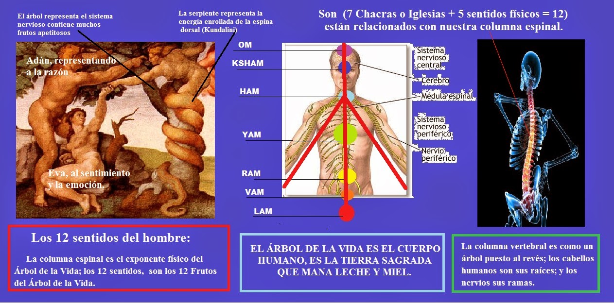 EL CUERPO HUMANO ES LA TIERRA SAGRADA Sdvvlk