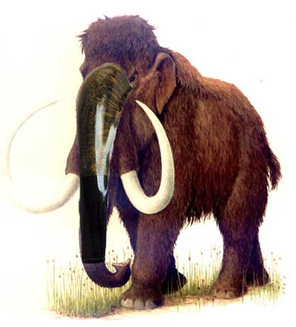 Oliphant - Oliphant "Mastodonte" Mastodonte