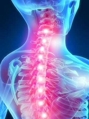 لماذا يعد الجلوس لفترات طويلة خطراً كبيراً على جسم الانسان؟؟ Spine_pain7289