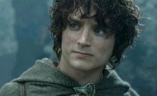 Frodo Baggins Frodo