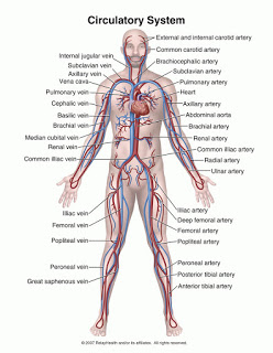 Yoga and Meditation Circ1