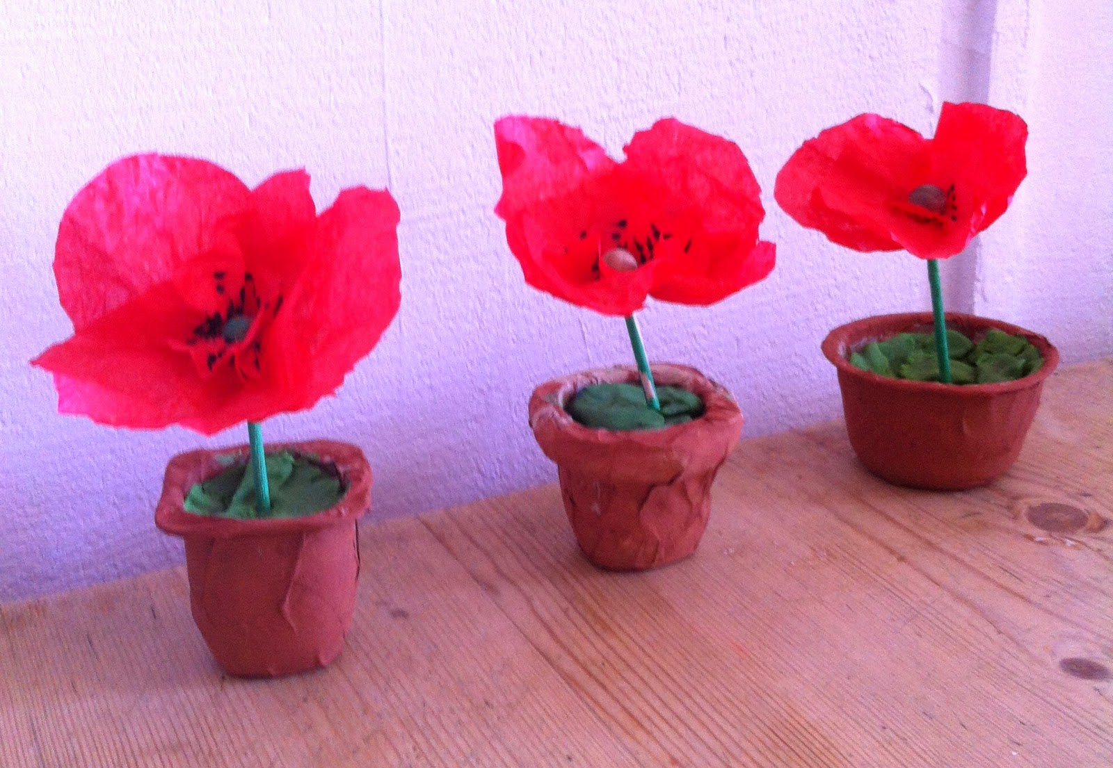 De jolis coquelicots  080