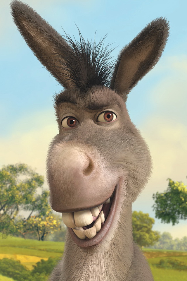 Qui est-ce ? Donkey-shrek-640x9601