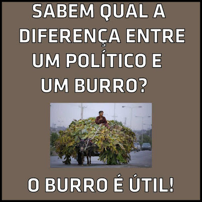 levar com a sopa e a pedra nos cornos .V..parte  - Página 10 375034_215825021821158_577533659_n