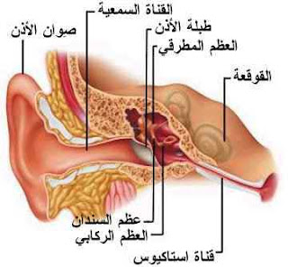 ماهي أسباب طنين الأذن؟  Ear