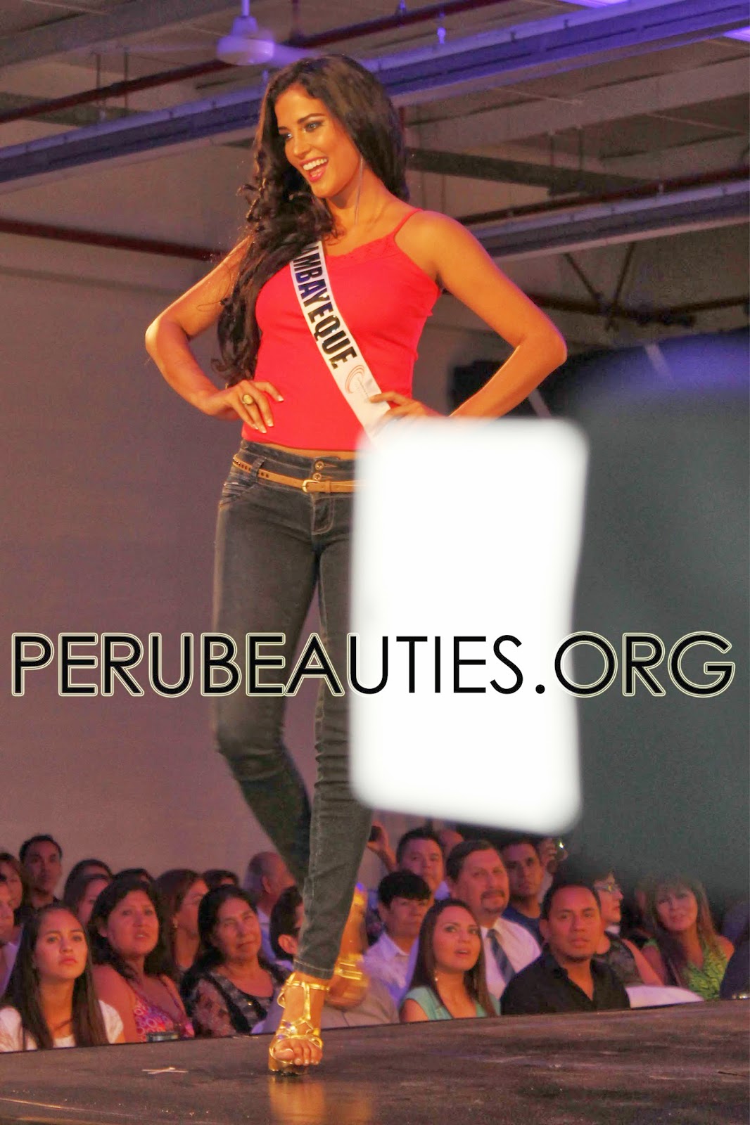 Road to Miss Peru Universe 2014 Photo15