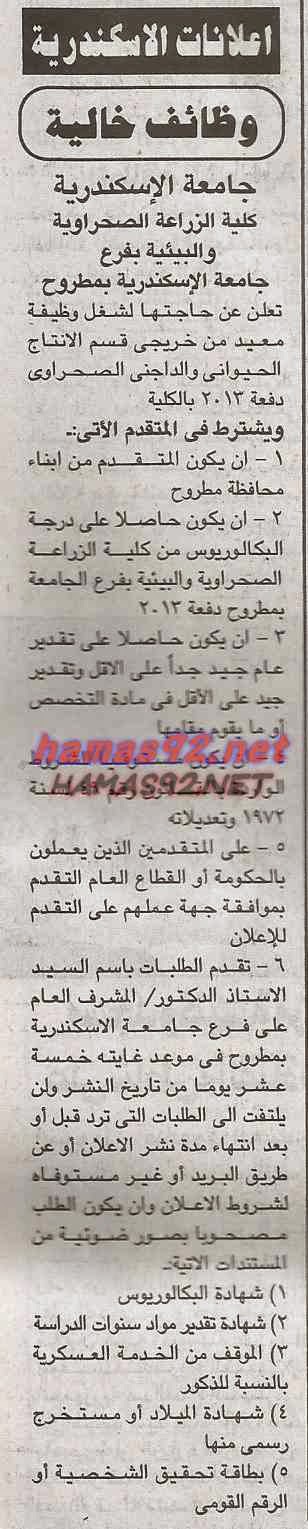 وظائف خالية فى جريدة الجمهورية الثلاثاء 16-09-2014 %D8%AC%D8%A7%D9%85%D8%B9%D8%A9%2B%D8%A7%D9%84%D8%A7%D8%B3%D9%83%D9%86%D8%AF%D8%B1%D9%8A%D8%A9%2B%D8%A8%D9%85%D8%B7%D8%B1%D9%88%D8%AD%2B%D8%AC%D9%85%D9%87%D9%88%D8%B1%D9%8A%D8%A9