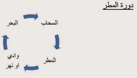 الخرائط المعرفية (ملف كامل) Cycle