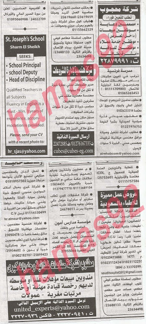 وظائف جريدة الاهرام الجمعة 24-05-2013 16