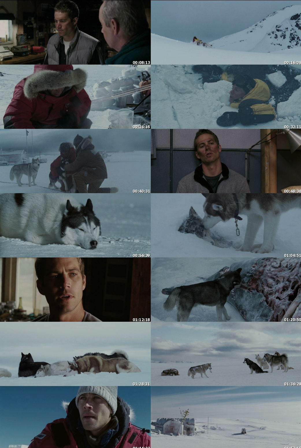 [One2Up][Mini-HD] Eight Below ปฏิบัติการ 8 พันธุ์อึดสุดขั้วโลก [720p][พากย์+ซับ:Tha+Eng] EB_guy2u.blogspot.com_ss