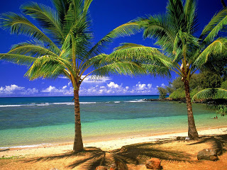 أنعش يومك بشاهدة أجمل شواطئ جزر هاواي  Tropical_Lagoon___erc