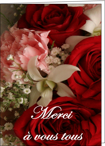 كيف يموت الله على الصليب ؟؟ 956-Fleurs-merci-a-vous-tous_maxi