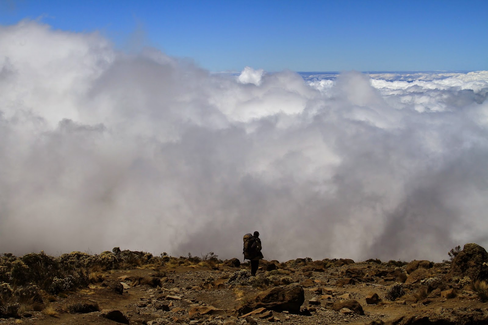 On the Roof of Africa or How (not) to climb Mt Kilimanjaro IMG_8678