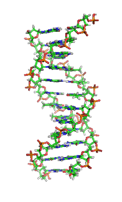 14 fenómenos naturais que contradizem os mitológicos "milhões de anos"  007_DNA_orbit_animated