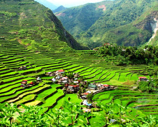 مدرجات مزارع الارز فى الفلبين  . Banaue-rice-terraces