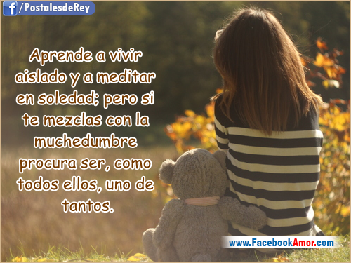 ****** IMAGENES BONITAS CON FRASES ****** - Página 26 Postales-con-frases-de-soledad