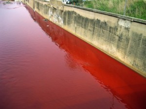 Beirut,il mistero del fiume rosso sangue Fiume-300x225