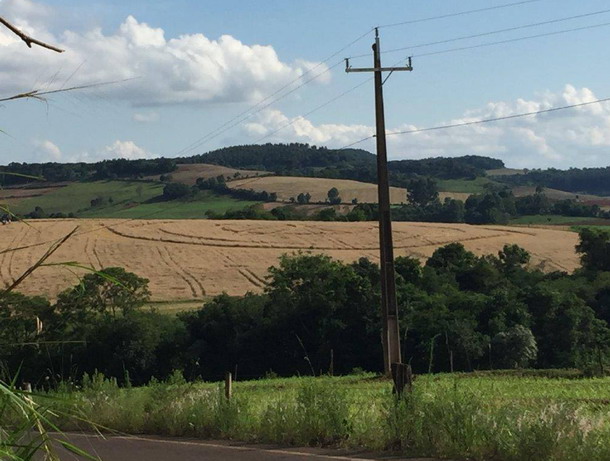 Crop Circle  - Página 4 Braz2