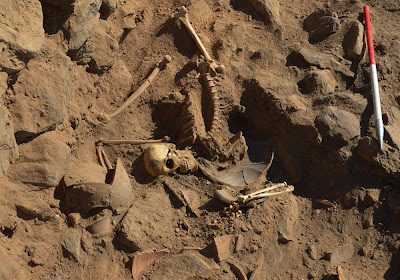1,400 year old remains of Nubian soldier found Nubia-skeleton
