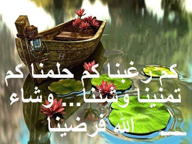 زهرة الياسمين - صفحة 22 Ff