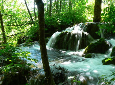 سحر الطبيعة جولة سياحية داخل حديقة بليتفيتش الوطنية في كرواتيا .♥ Small-waterfall-at-the-Plitvice-Lakes