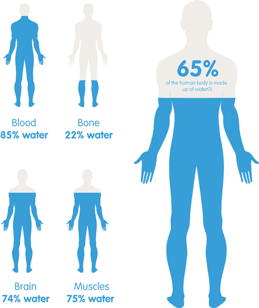 How Much Water Do We Need To Drink, According To Our Weight?  Waterinbodyimage