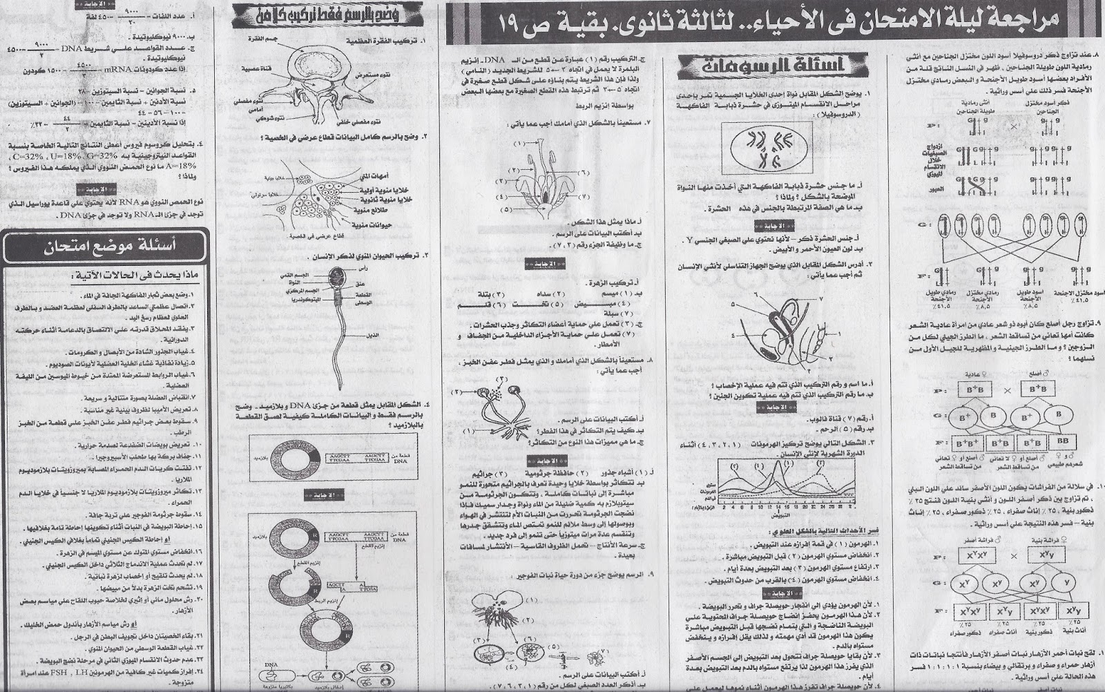 توقعات ملحق الجمهورية لامتحان بكرة احياء ثالثة ثانوى 2015 نظام حديث Scan0008