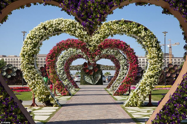  DUBAI MIRACLE GARDEN  2