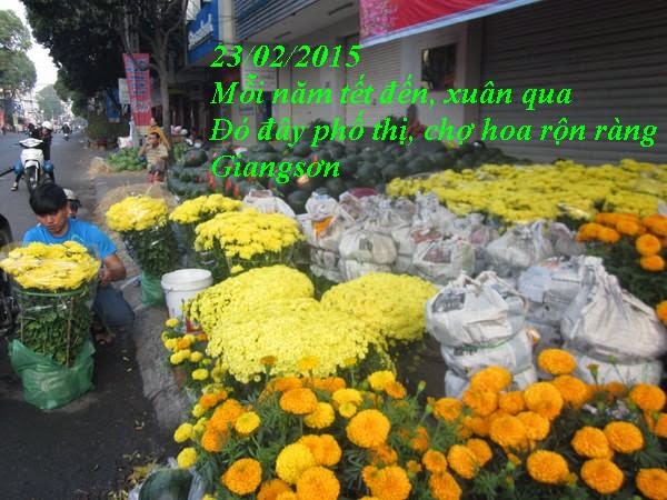  23/02/2015 {KÝ ỨC}: CHỢ HOA DỊP TẾT Copy%2Bof%2B18%2B%28Copy%29