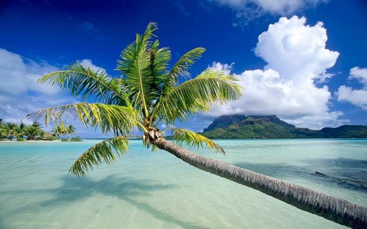 هل سمعتم عن بورا بورا؟.. أجمل جزيرة في العالم Bora_Bora_French_Polynesia71-728x455