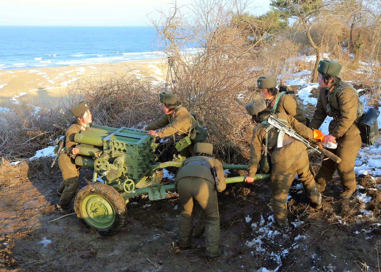 Fuerza Armadas de Corea del norte TIPO63