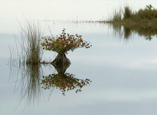  الصورالفائزة في مسابقة تصوير الطبيعة لعام2012 في امريكا 173