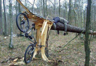 vtt poitou est il capable de faire sa rando ? - Page 2 Velo_dans_arbre