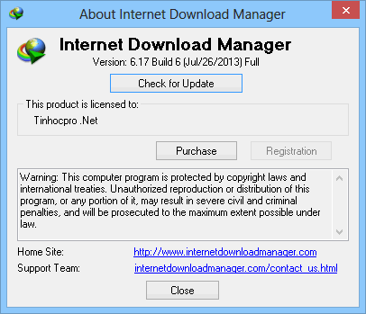Tải IDM 6.17 build 6 full crack  2013-07-27_002948