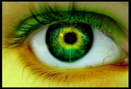  Fotos o Imagenes en Verde Ojos-verdes