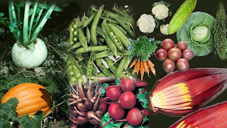 காய்கறிகளும் அதன் பயன்களும் !!!  Vegetables-609