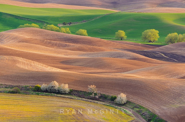 تعرف على بالويوس ارض العشب الملون Palouse-15%5B2%5D