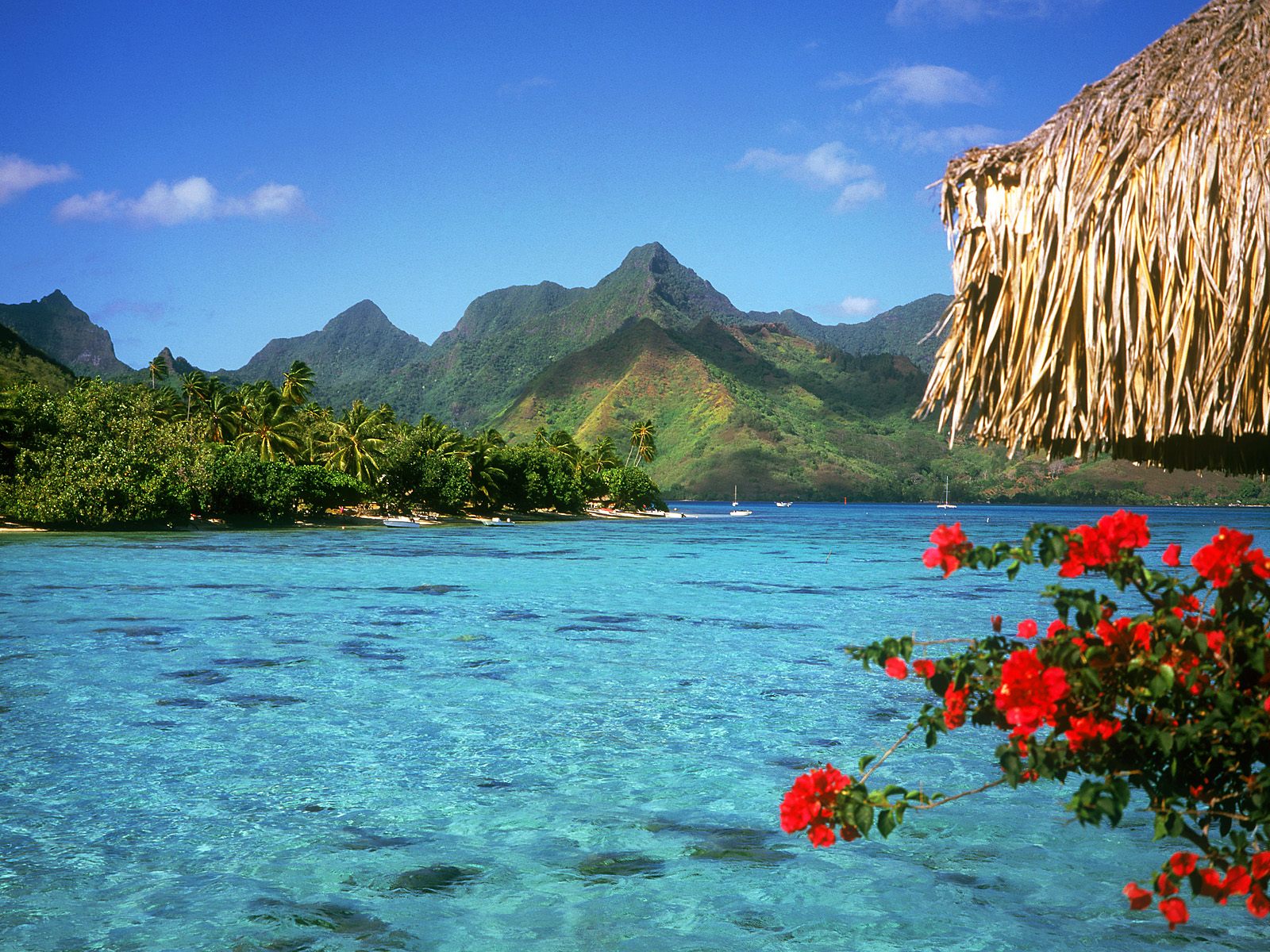 ◕‿◕｡ llega la PRIMA..PRIMAVERA  ｡◕‿◕｡ - Página 2 Paisajes-hermosos-del-mar