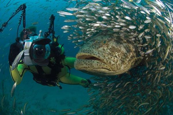 GELLERY FOTO-FOTO LUAR BIASA YANG BISA MEMBUAT KITA TERKEJUT Most-amazing-photos-ever12