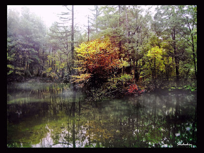 سحر الطبيعة جولة سياحية داخل حديقة بليتفيتش الوطنية في كرواتيا .♥ A-foggy-day-at-Plitvicka-lakes-Croatia