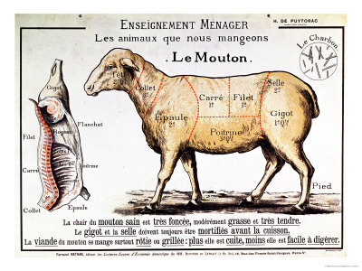 New Member Mutton-diagram-depicting-the-different-cuts-of-meat