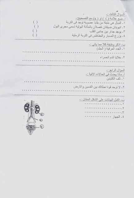 [امتحانات] العجمى - اسكندرية 2015 Scan0014